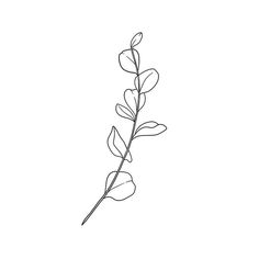 Summer Line Art, Eucalyptus Design, Eucalyptus Art, Eucalyptus Drawing Simple, Eucalyptus Fine Line Tattoo, Fine Line Eucalyptus Tattoo, Line Drawing Plant, Eucalyptus Line Tattoo, Floral Line Drawing