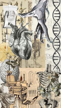 an artistic collage with various medical items and animals on it's sides, including a human heart in the middle