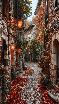 an alley way with stone buildings and red leaves on the ground in autumn, lit by lanterns