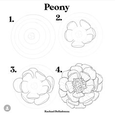 how to draw peony flowers step by step instructions for kids and beginners with pictures