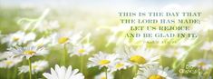 a field full of white daisies with a bible verse