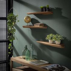 three wooden shelves with plants and books on them in front of a green painted wall