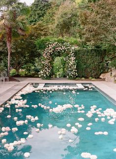 a pool with white flowers floating in it next to a lush green hedge and shrubbery