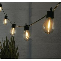 some light bulbs are hanging from a string with lights on it and a potted plant in the background