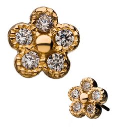 Sold individually (1 piece - top only).14kt gold.316LVM stainless steel pin.Size: 6mm. Dermal Jewelry, Flower Petal, Cartilage Piercing, Gold Flower, Gold Flowers, Flower Petals, 14kt Gold, Body Jewelry, New Product