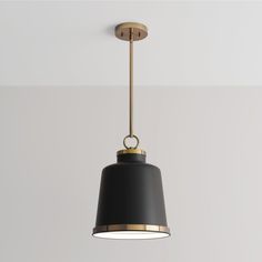 a black and gold pendant light hanging from a ceiling in a room with white walls