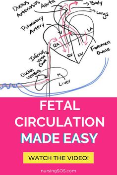 a drawing with words written on it that says,'fecal circulation made easy