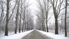 an empty road surrounded by snow covered trees