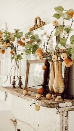 there is a vase with some fruit on the shelf next to an old window sill