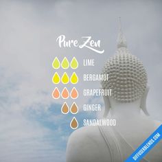 Pure Zen - Essential Oil Diffuser Blend Essential Oils For Nausea, Essential Oils Diffuser Blends, Eo Blends, Essential Oil Diffuser Blends Recipes, Ginger Essential Oil, Essential Oils Diffuser, Essential Oil Diffuser Recipes, Oil Diffuser Recipes, Essential Oil Mixes