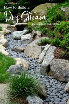 a garden with rocks and plants in it