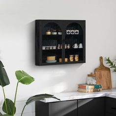 a wall mounted spice rack on the side of a kitchen counter next to a potted plant