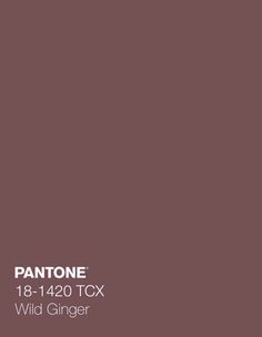 Rust Pantone Color, Apricot Pantone, Brown Pantone Shades, Pantone Burnt Sienna, Pantone Tcx Orange, Different Aesthetics, Body Colour, Season Colors