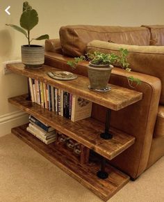 a living room with a couch, book shelf and potted plant on the table