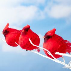 three red birds sitting on top of a white wire