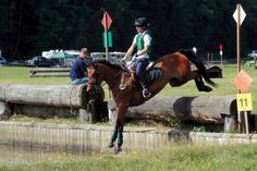 a person riding on the back of a brown horse over a wooden fence in a field