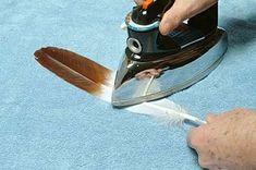 a person ironing feathers with a steam iron on a blue rug next to a hand holding an orange and white feather