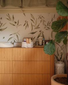 a wooden dresser topped with lots of clutter and greenery next to a potted plant