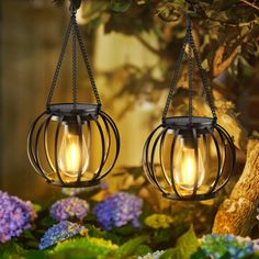 two hanging lights in the shape of orbs on a tree branch with purple flowers