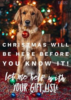 a dog sitting in front of a christmas tree with the words, christmas will be before you know it let me help with your gift list