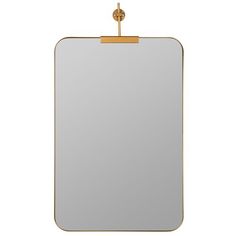 a mirror with a gold frame and clippings on the front, against a white background