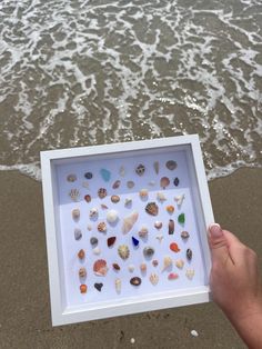 a person holding up a frame with sea shells in it on the beach next to the ocean