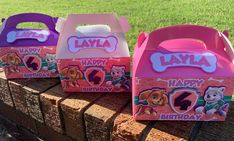 pink and purple birthday boxes with paw patrol characters on them sitting on a wooden fence