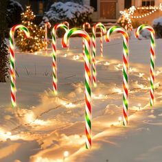 candy canes are lined up in the snow with christmas lights on them and behind them