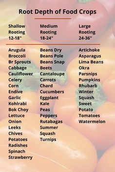 the root depth of food crops is shown in this graphic above it's description