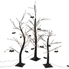 three tall trees with bats on them in front of a white background and one tree has no leaves