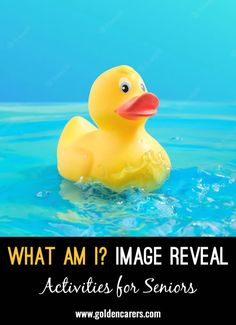 What Am I? Image Reveal: This is a What Am I image reveal activity. August Birthday, December Birthday, Senior Care, Diy Activities