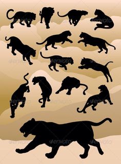 the silhouettes of wild animals are running through the air in different positions and sizes