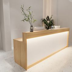 a white and wooden reception counter with plants on top