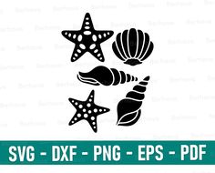 starfish, seashell and shell svg dxf eps png example