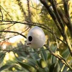 a bird house hanging from a tree branch