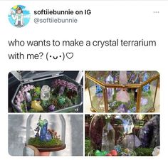 a tweep with pictures of fairy garden items and text that reads, who wants to make a crystal terrarium with me? u