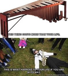 an image of a musical instrument with the caption'this is what happens to your life if you are playing it