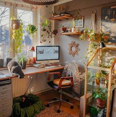 a cat sitting on top of a computer desk next to a window filled with potted plants