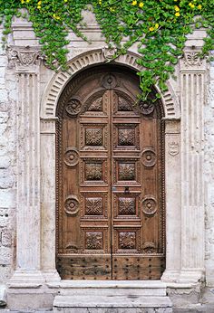 an old wooden door with vines growing over it