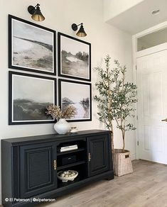 a living room with pictures hanging on the wall and a potted plant next to it