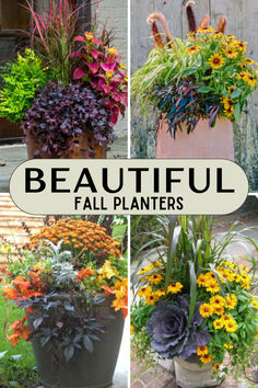 Beautiful fall planters Fall Indoor Plants, Fall Outdoor Flower Arrangements, Gta Designs, Fall Garden Center Displays, Large Fall Planters Outdoor, Fall Flower Planters, Mum Planters Front Porches, Fall Plants For Pots