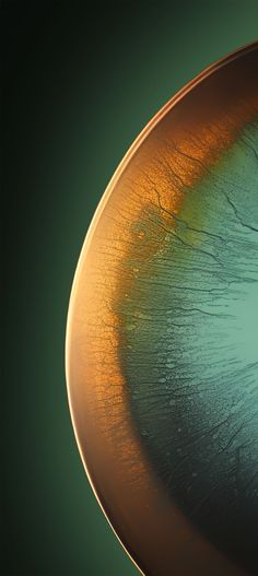 a close up view of a plate with an orange and blue design on the side