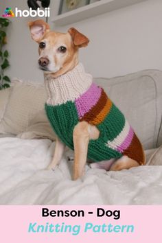 a dog sitting on top of a bed wearing a sweater with the words, benson - hundesweater hobbi plus opskift