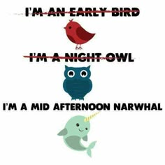 an image of three different animals with words above them that say i'm an early bird, i'm a night owl, i'm mid afternoon nar