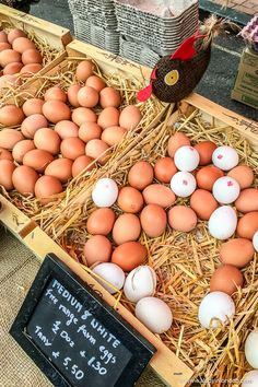 an assortment of eggs are on display at the farmer's market