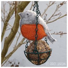 a bird feeder hanging from a tree branch