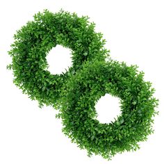 two green wreaths are arranged in the shape of an o and s on a white background