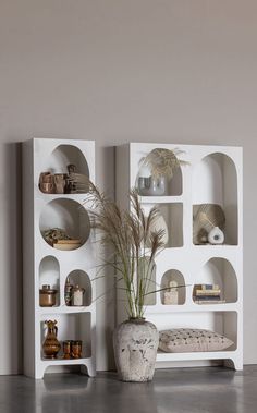 a vase with some plants in it next to shelves