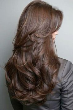 Dark Brown Hair Colors Ideas, Hair Dye Ideas For Brunettes Highlights, Brunette Hair Colour Ideas, Dark Hair Inspo Color, Bronze Brown Hair Color, Cocoa Hair Colour, Hair Color Brown Chocolate, Brown Hair No Bleach, Best Hair Color For Brunettes