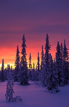 the sun is setting over some snow covered trees in the distance, with pink and purple skies